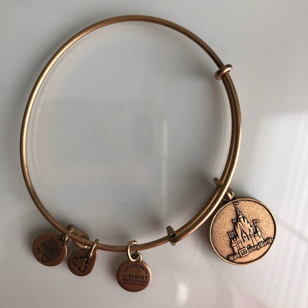 Walt Disney world bracelet